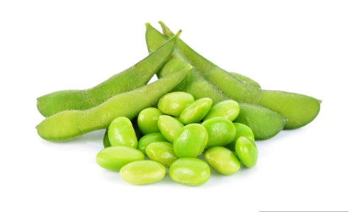 冮豆的功效-方豆功效网 - 为你提供冮豆的功效、篇豆的功效