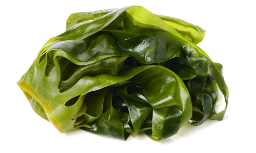 豆类的功效-方豆功效网 - 为你提供冮豆的功效、篇豆的功效
